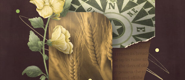 3 Things You Should Know about Amos