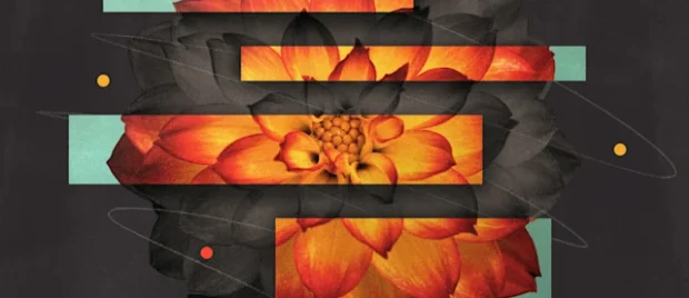 3 Things You Should Know About Malachi