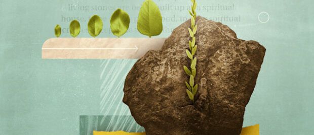 3 Things about 1 Peter