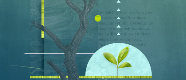 3 Things You Should Know about Zephaniah