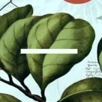 War and Peace with a Holy God.